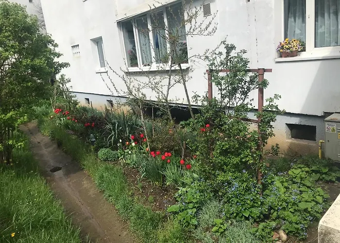 Colina * Cluj-Napoca