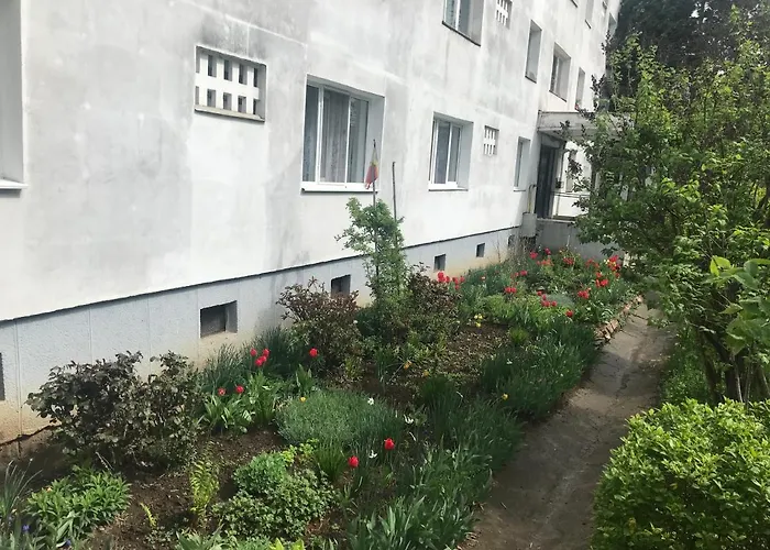 Colina Apartman Kolozsvár